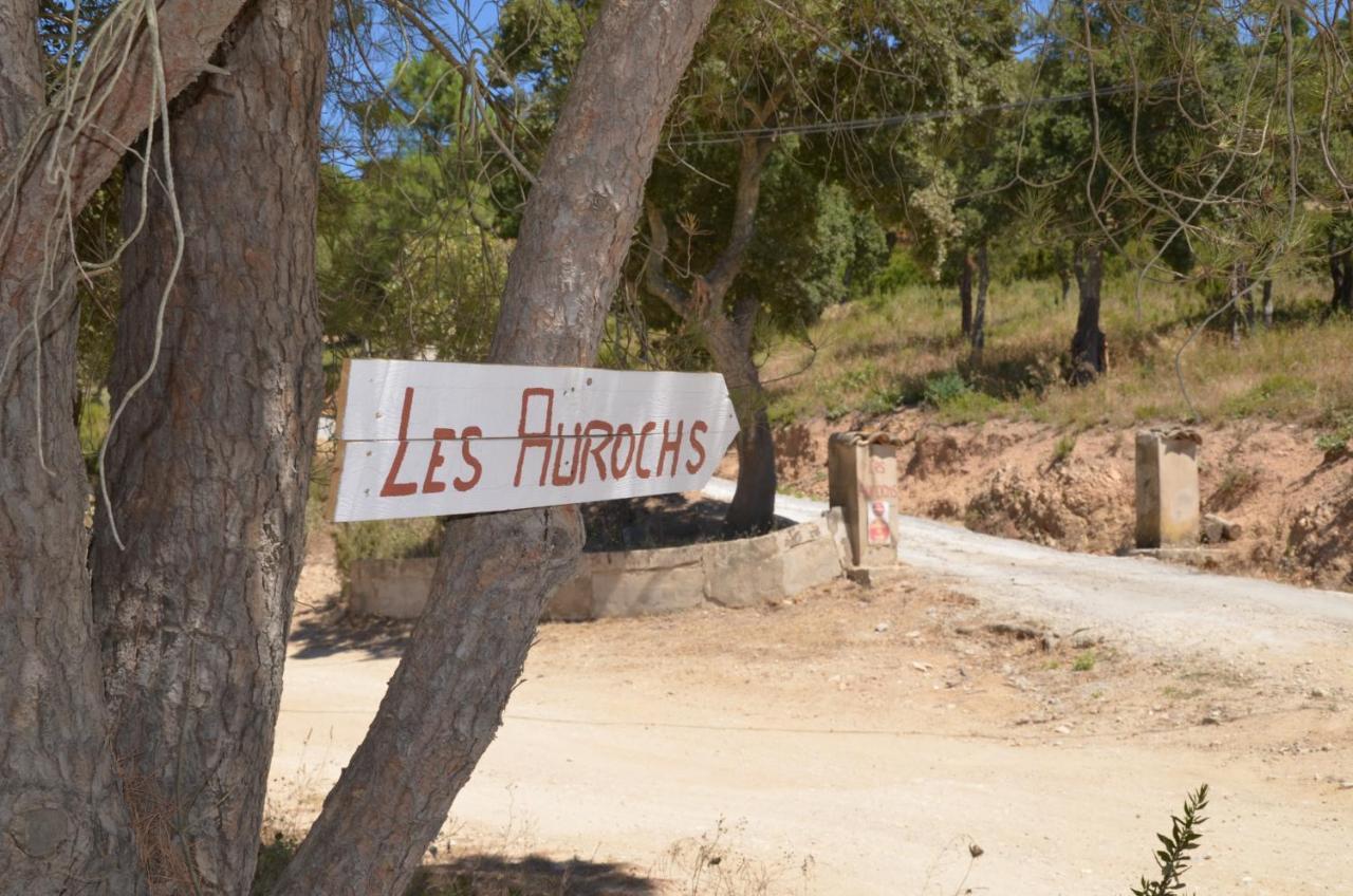 Les Aurochs Bed and Breakfast Grimaud Exteriör bild
