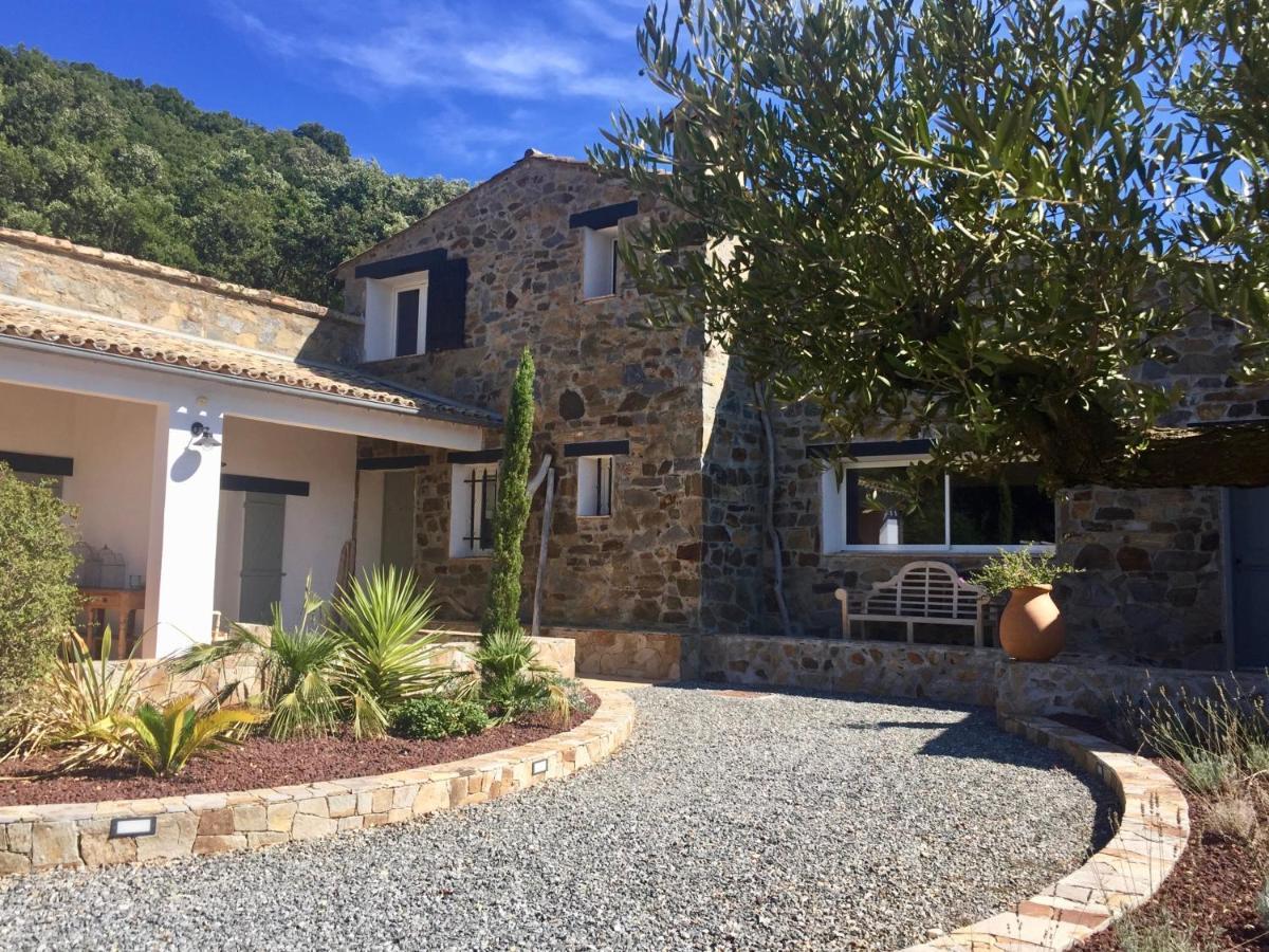 Les Aurochs Bed and Breakfast Grimaud Exteriör bild